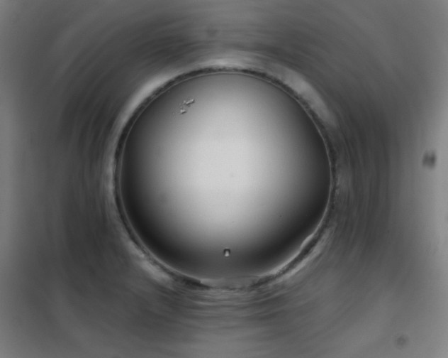 X0000102281232200807251351