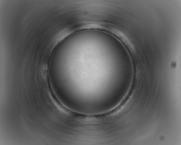 X0000102281233200807251351