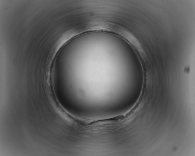 X0000102281234200807251351