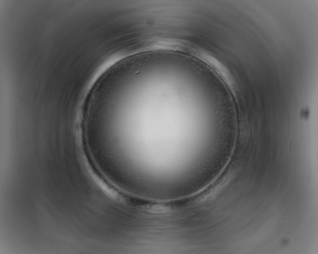 X0000102281235200807251351