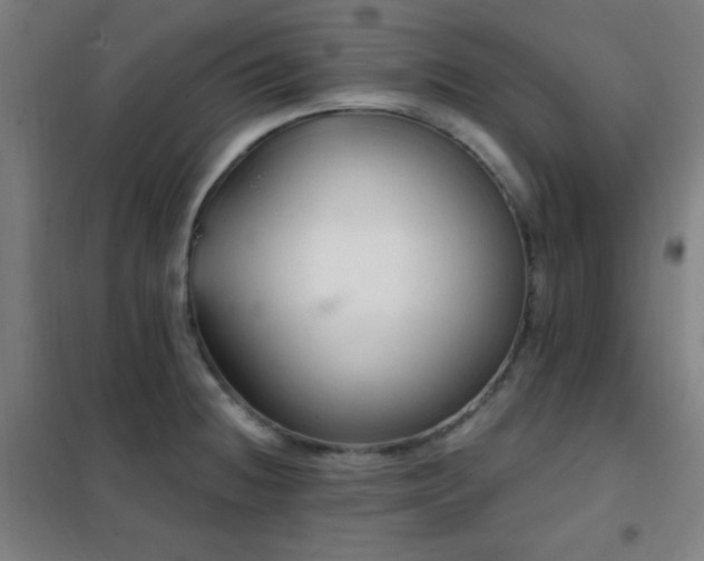 X0000102281236200807251351