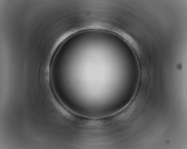 X0000102281238200807251351