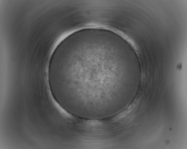 X0000102281239200807251351