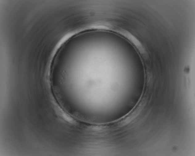 X0000102281240200807251351