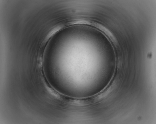 X0000102281241200807251351
