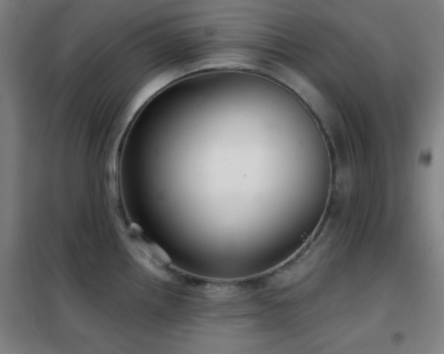 X0000102281242200807251351