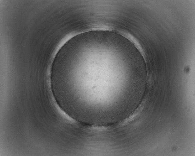 X0000102281243200807251351