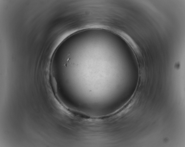 X0000102281244200807251351