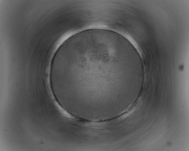 X0000102281245200807251351