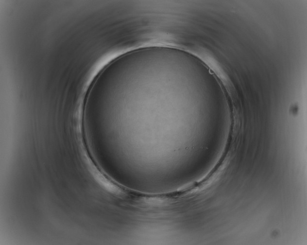 X0000102281246200807251351