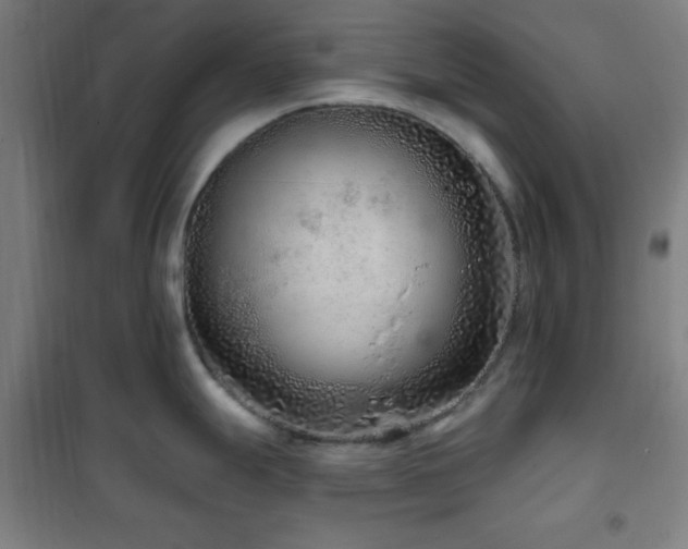 X0000102281247200807251351