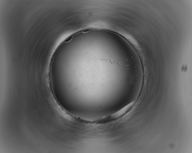X0000102281248200807251351