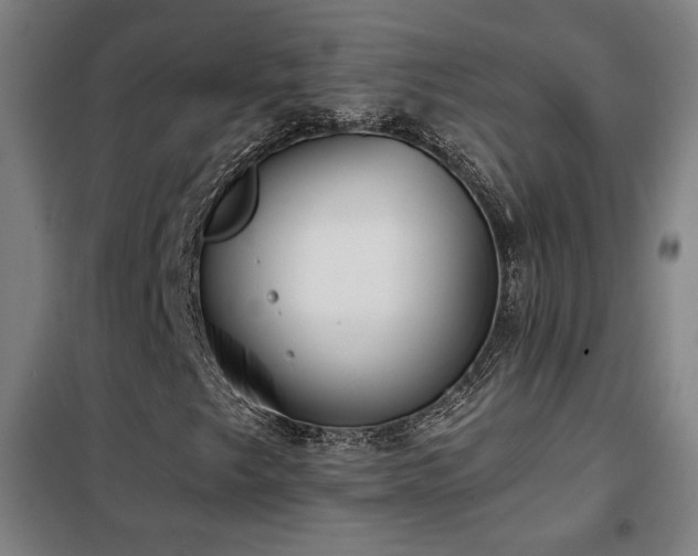 X0000102281249200807251351
