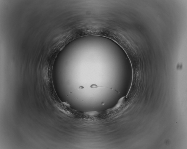 X0000102281250200807251351