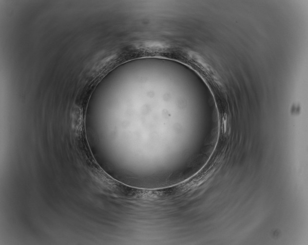 X0000102281251200807251351