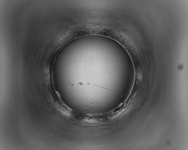 X0000102281252200807251351