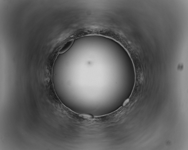 X0000102281253200807251351