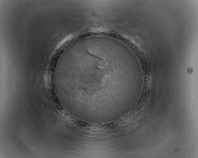X0000102281254200807251351