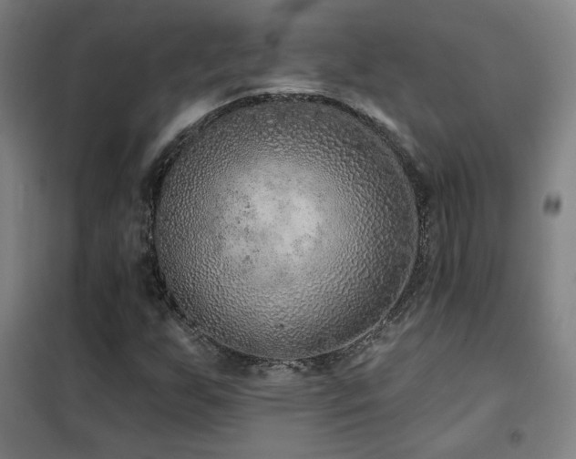 X0000102281255200807251351