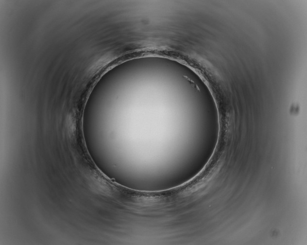 X0000102281257200807251351