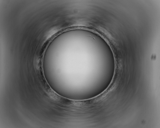 X0000102281258200807251351