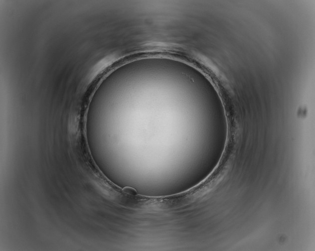 X0000102281259200807251350