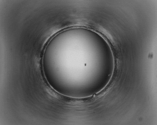 X0000102281260200807251350