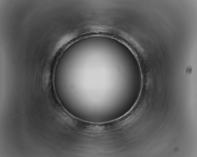 X0000102281261200807251350