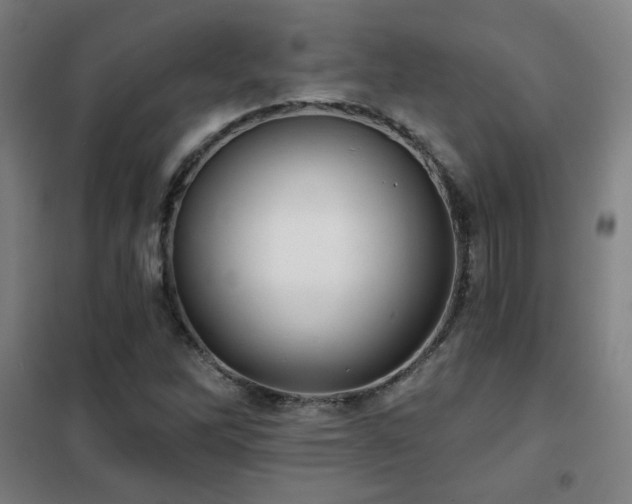 X0000102281262200807251350