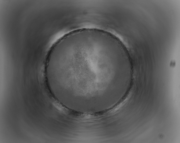 X0000102281263200807251350