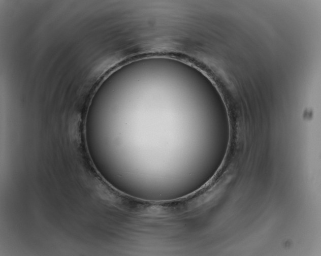 X0000102281265200807251350