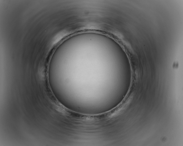 X0000102281266200807251350