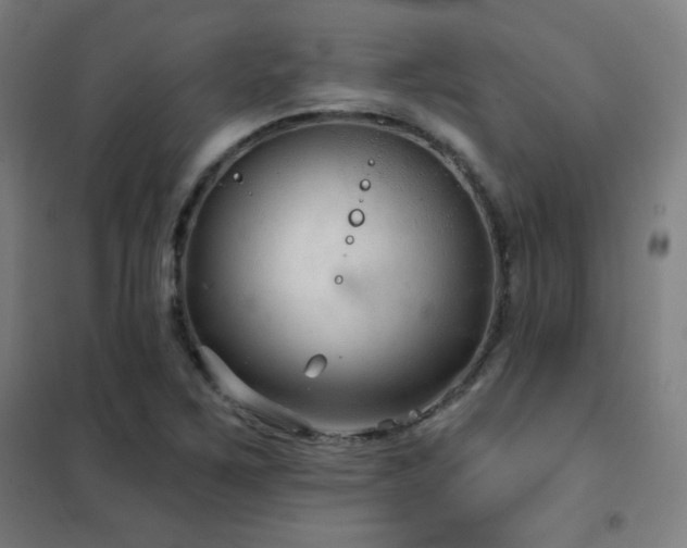 X0000102281267200807251350