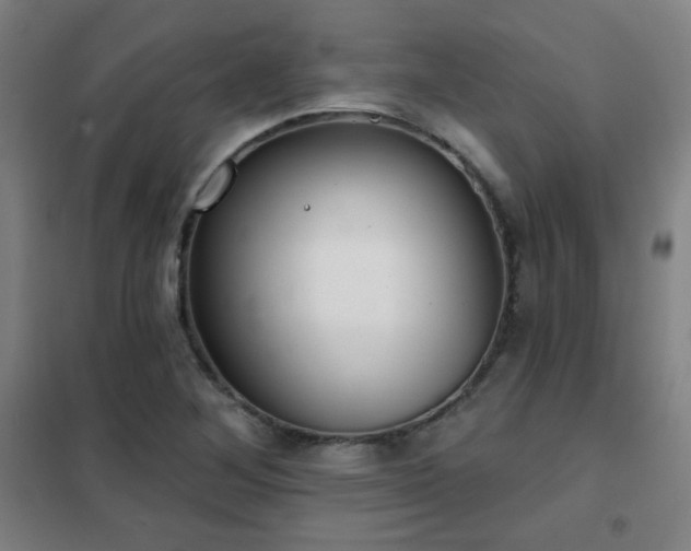 X0000102281268200807251350
