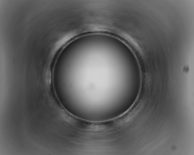 X0000102281269200807251350