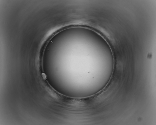 X0000102281270200807251350