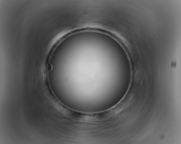 X0000102281271200807251350