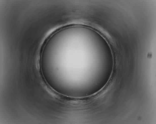 X0000102281272200807251350