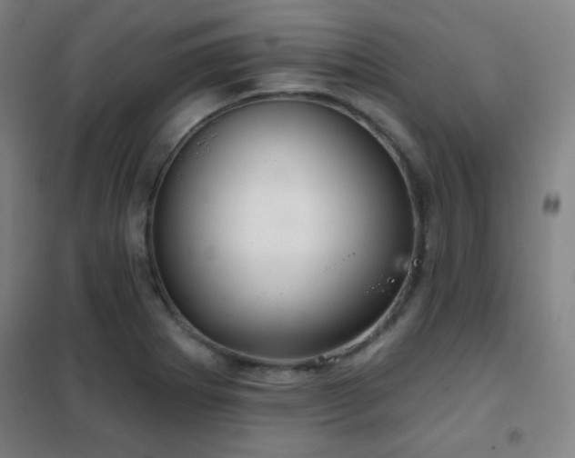 X0000102281273200807251350