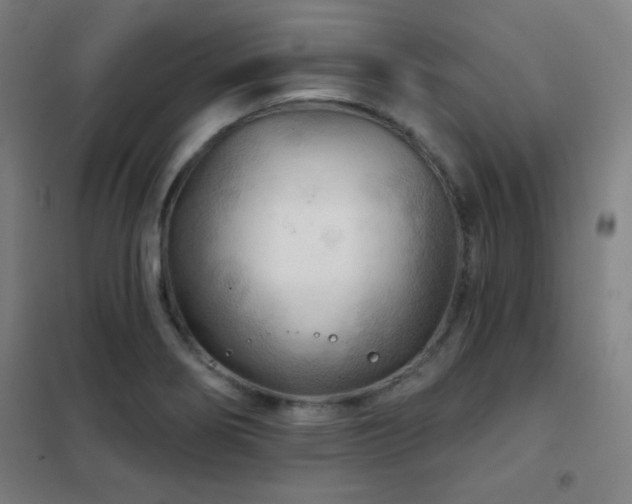 X0000102281274200807251350