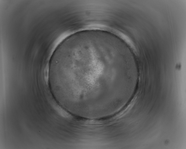 X0000102281275200807251350