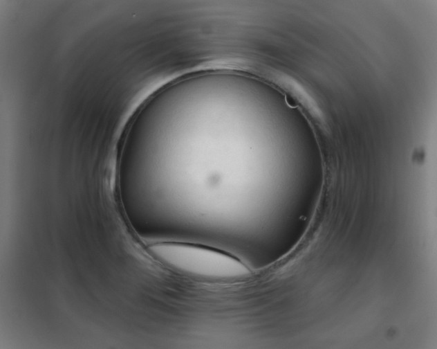 X0000102281276200807251350