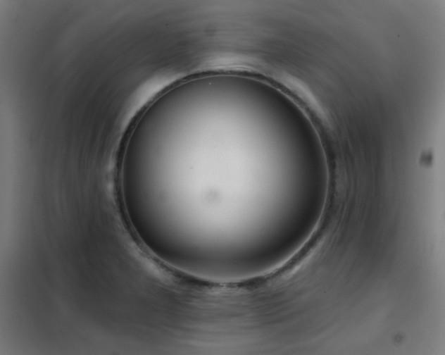 X0000102281277200807251350