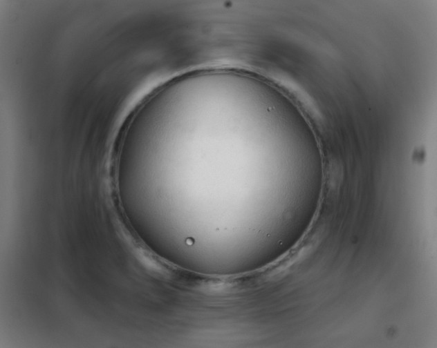 X0000102281278200807251350