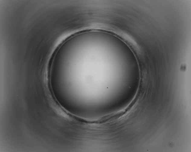 X0000102281280200807251350