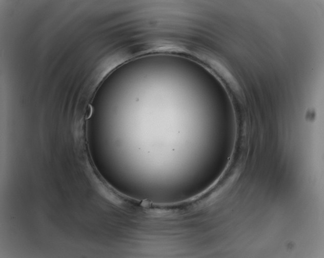 X0000102281281200807251350