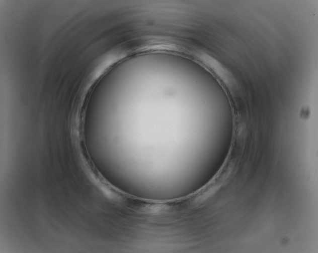 X0000102281282200807251350