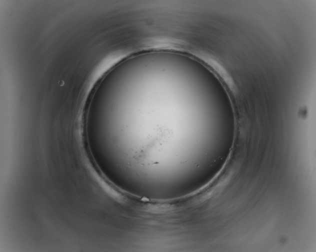 X0000102281285200807251350