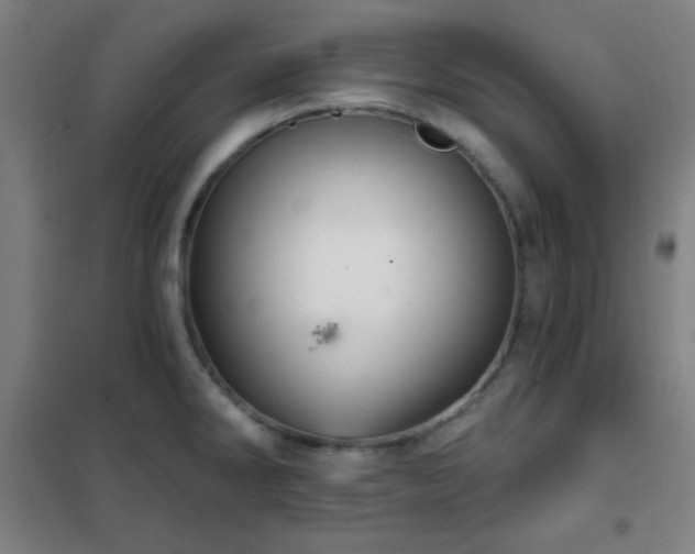 X0000102281286200807251350