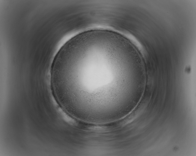 X0000102281287200807251350